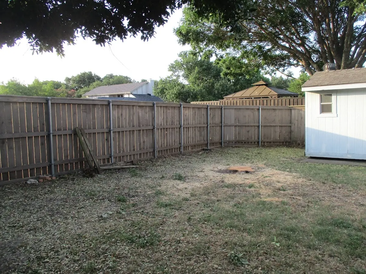Cleared yard after professional tree removal in Perkiomenville